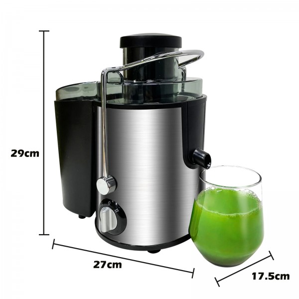 Electric Slow Juicer