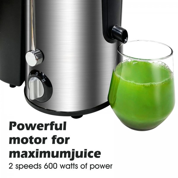 Electric Slow Juicer