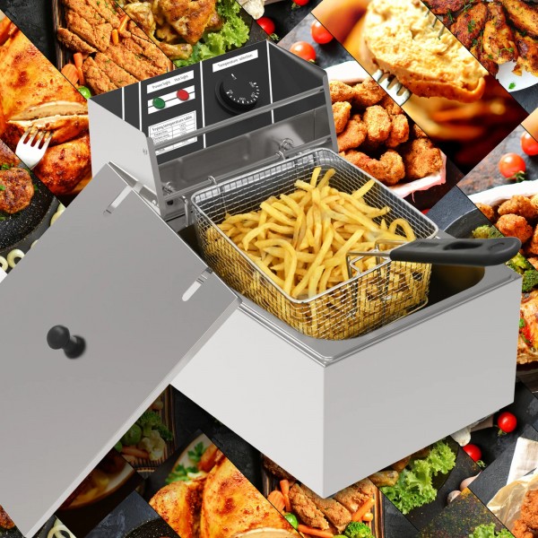 2500W 10L Electric Single Deep Fryer